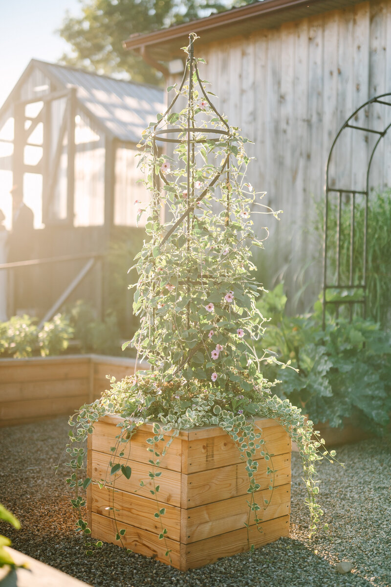 herb garden at Willowbrook Weddings in Volant