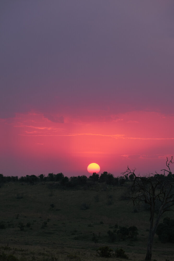safariedited-532