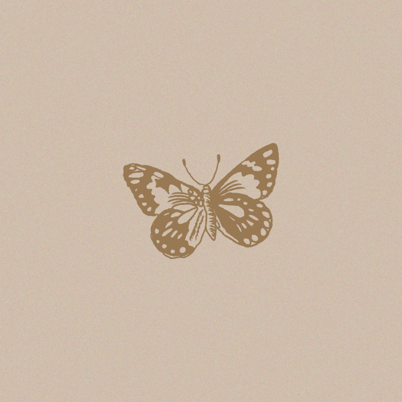 butterflies-38