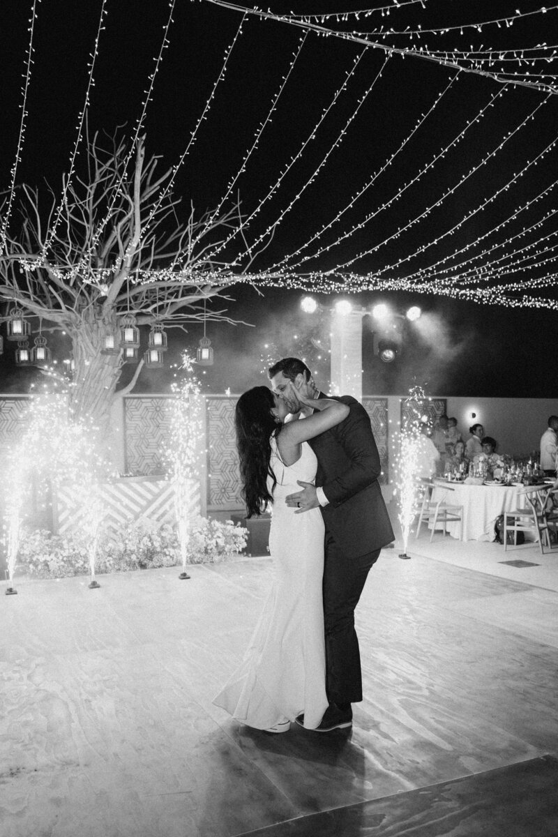 Swart Los Cabo Wedding Gallery 135