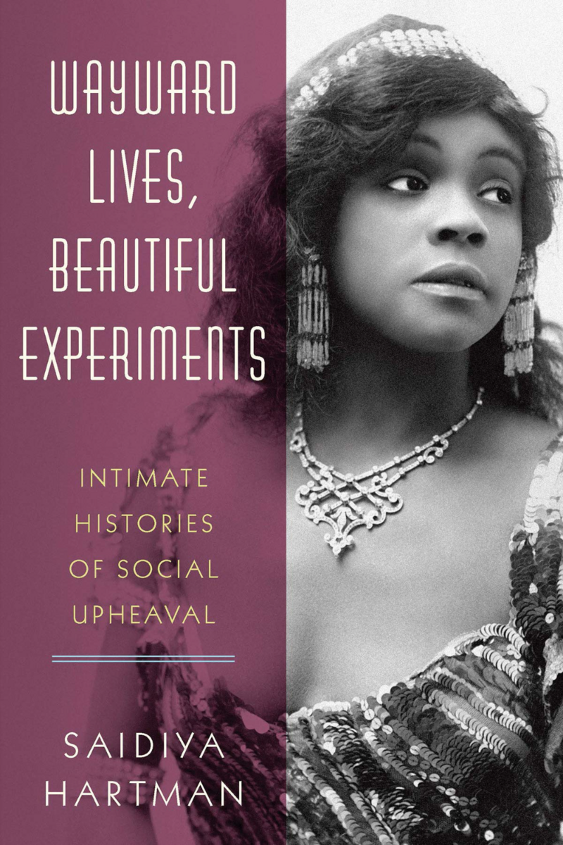 Wayward Lives, Beautiful Experiments_ Intimate Histories of Social Upheaval_ Hartman, Saidiya_ 9780393285673_ Amazon_com_ Books