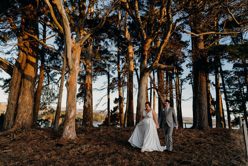 A bride and groom walking amongst gum trees during their waikato wedding being photographed by Hamilton photographer Haley Adele Photography