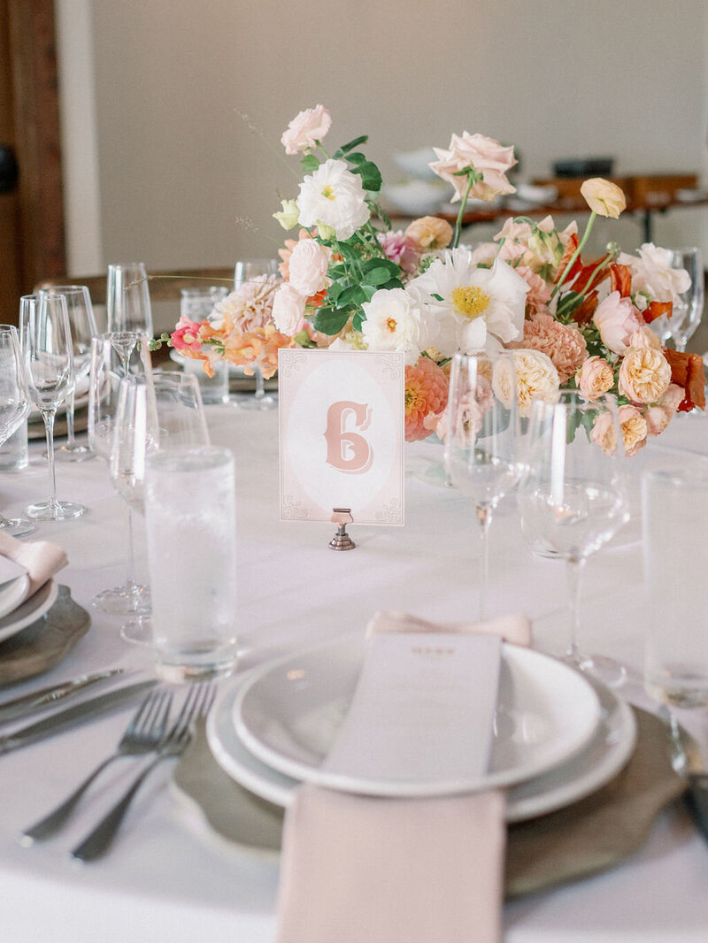 Ellen&amp;Brian_TroyMeiklePhoto_235