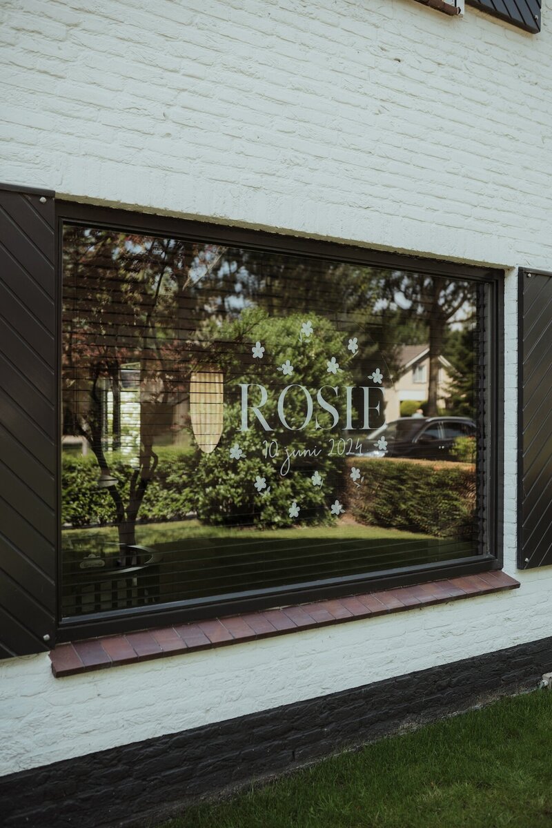 Rosienewborn-103