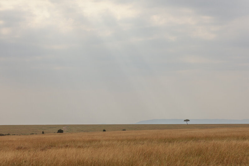 safariedited-084