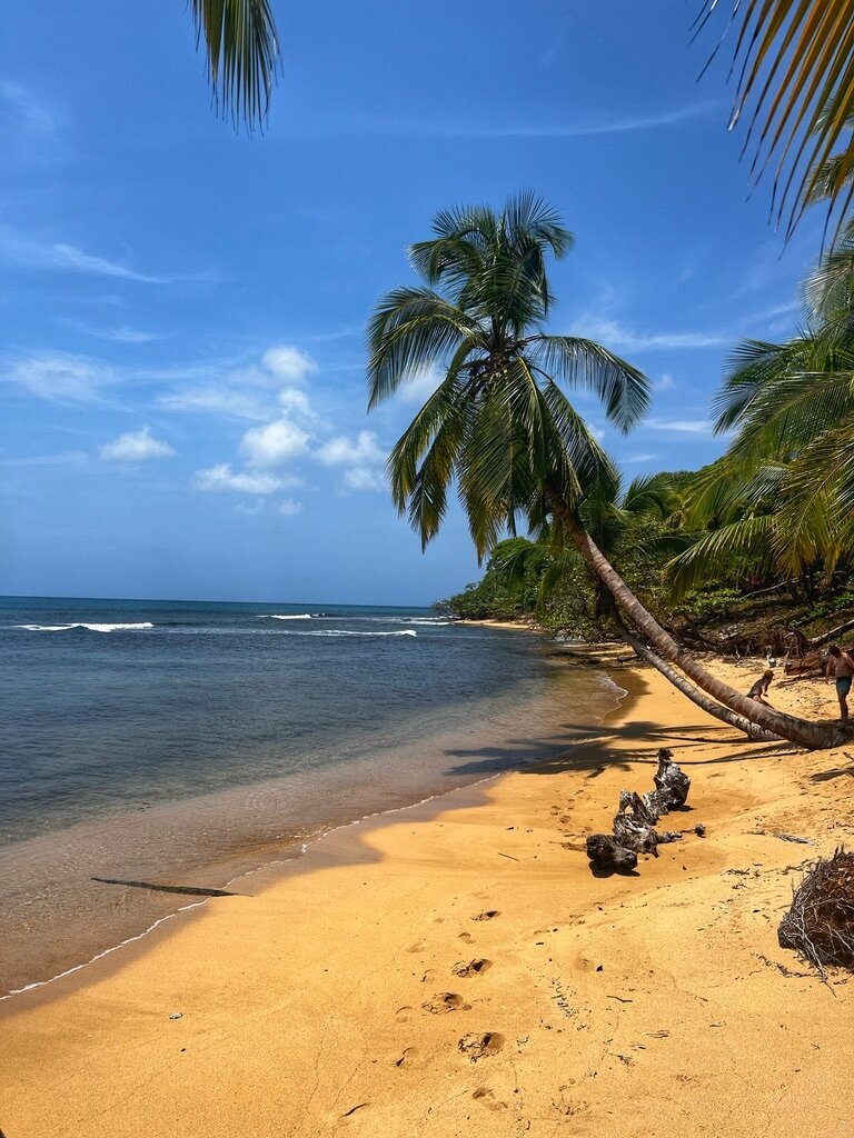 FDDC7BD1-02A7-42AC-84A5-DEA7F8C1BECB_1_105_c