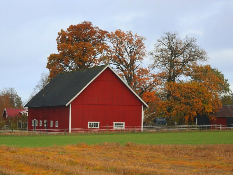 After serving the Rochester market for over 50 years, Red Barn Properties aims to be the premier choice for all your real estate needs. Our mission is to assist our clients in buying or selling their home through our expert knowledge and unwavering commitment to their needs.