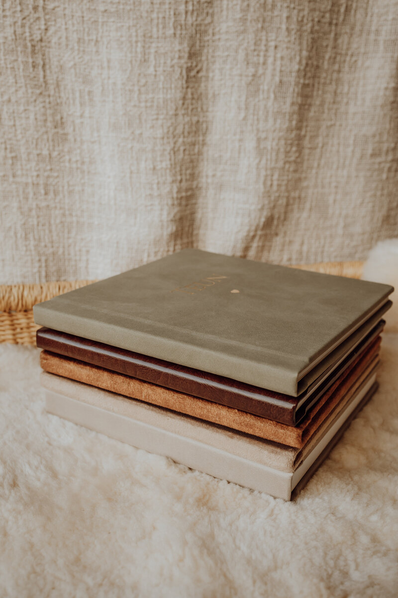 DemoAlbums (6 van 11)