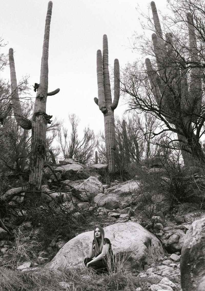 Black and White Portrait Saguaro Nature