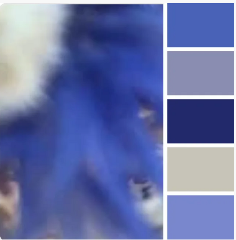 Pale blue blossom with colour palette