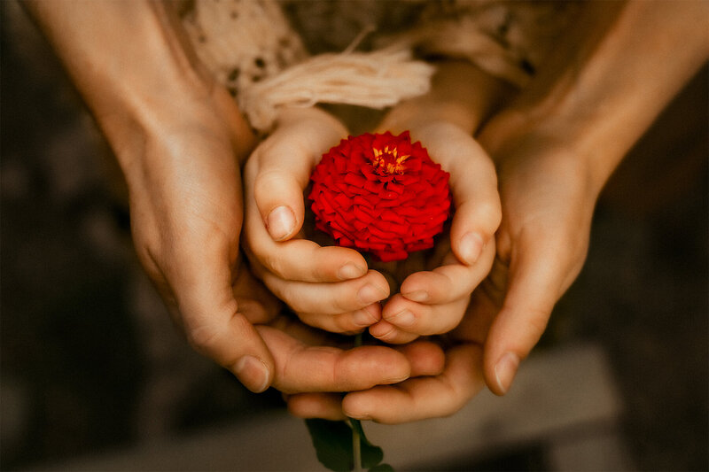 Michigan family photographer 115