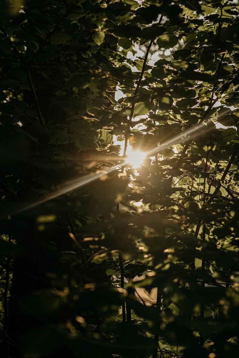 _A6A5171
