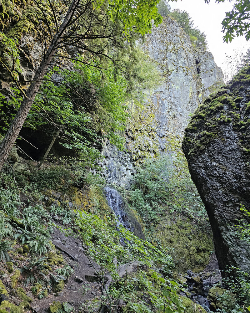 Take in the diverse terrain and scenic views of cliffside trails lined with trees at Viento State Park with The Gorge E-Bike Adventure Rentals