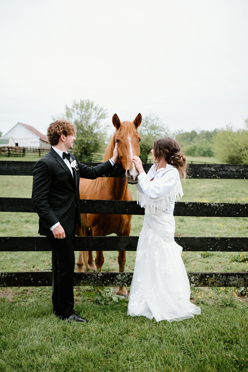 Bride and groom petting a horse on farm in Nashville, Tennessee