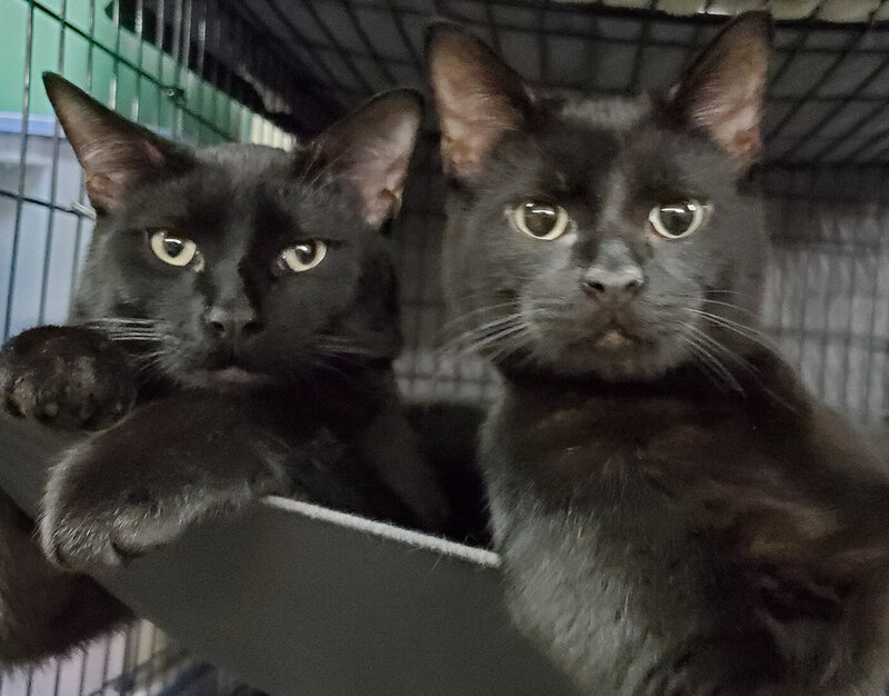 Jen Burghart Reiki 0010210_Jen Burghart Reiki 00631