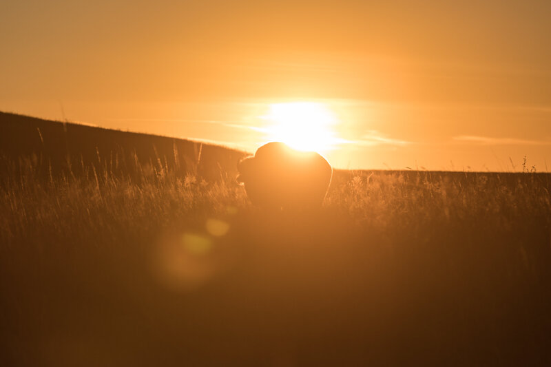 AdobeStock_192320830