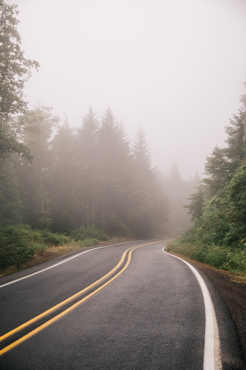 Pacific Northwest roadway in fog