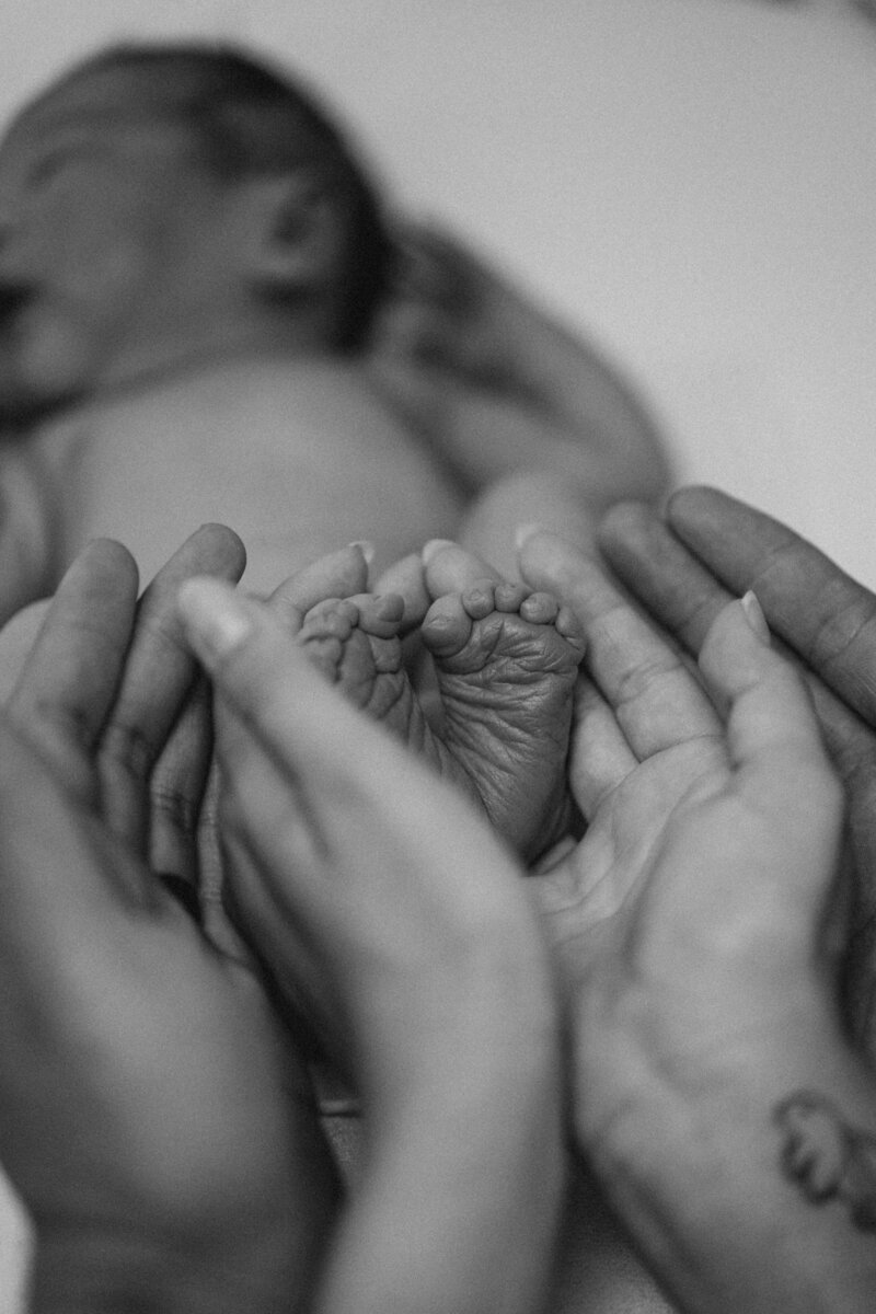 A black and white newborn photo of a mother and father's hands cupping the feet of their newborn baby