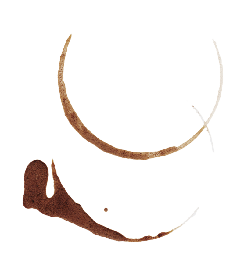 illustration of coffee stain