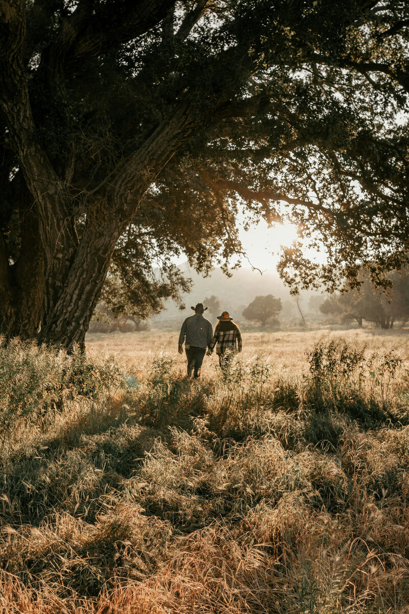 Two people are walking through a field under a tree