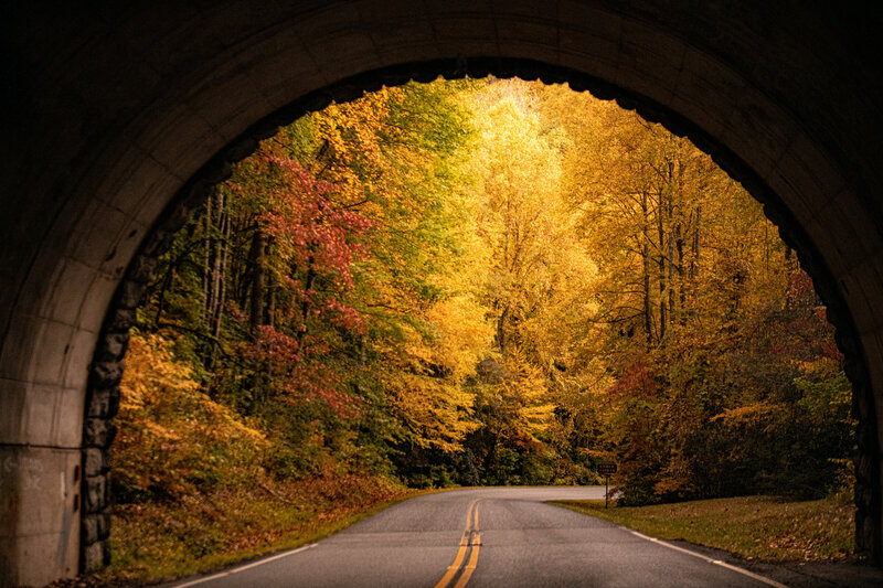 Blue Ridge Parkway in the fall in Asheville