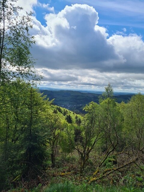 Haus Wunderberg, sauerland, duitsland, willingen, winterberg, wintersport, wandelen, mountainbike