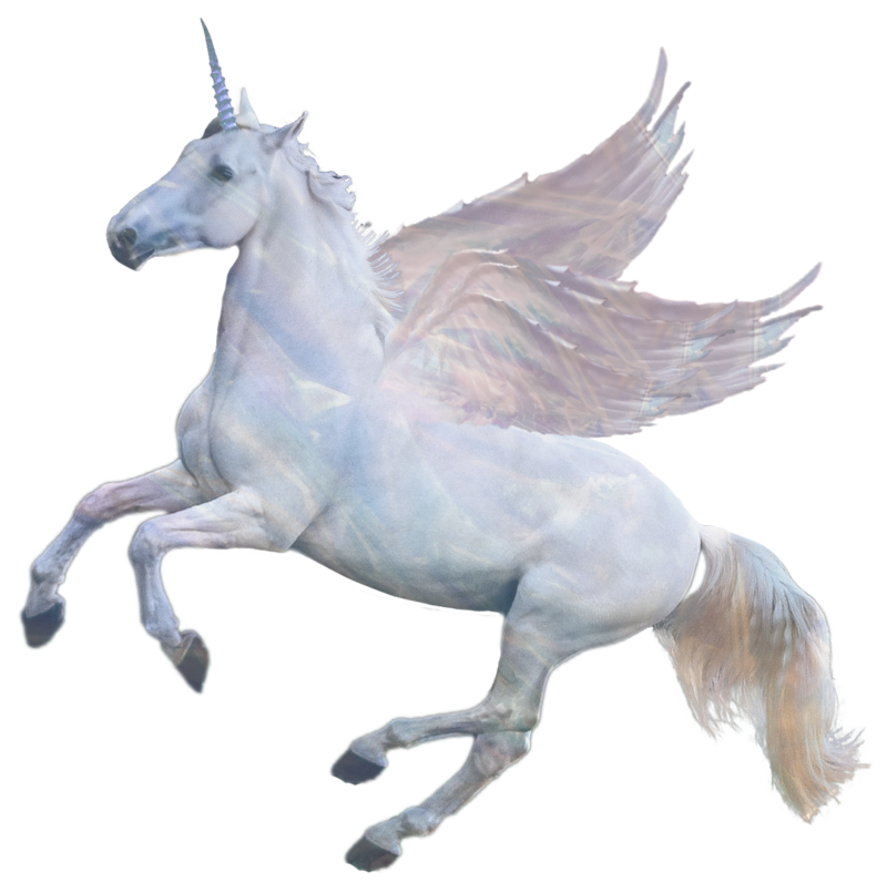 White Flying Unicorn Representing Animal Communication Course