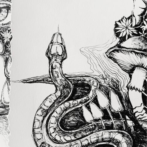 snake-sketch