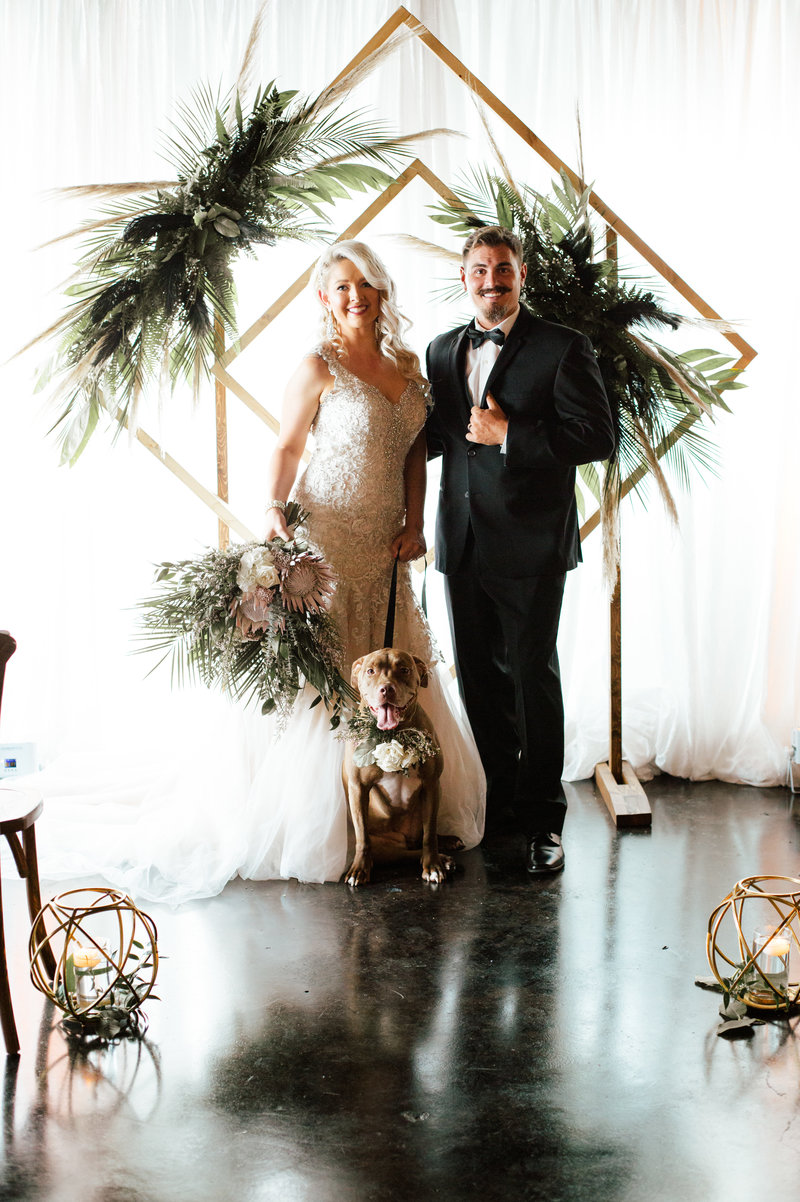 Dog_in_wedding_Furry_Ventures