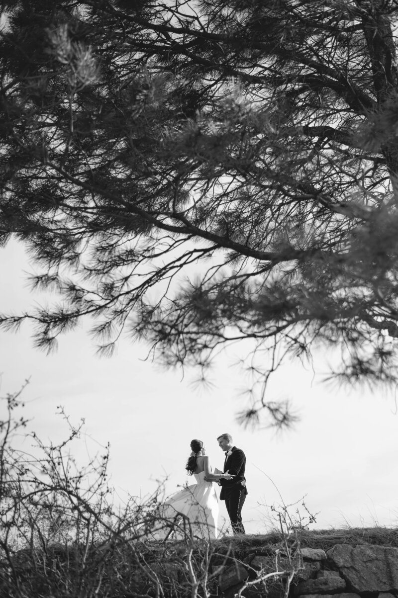 ALI_6394-2