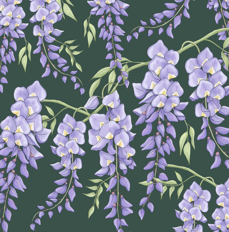 wisteria