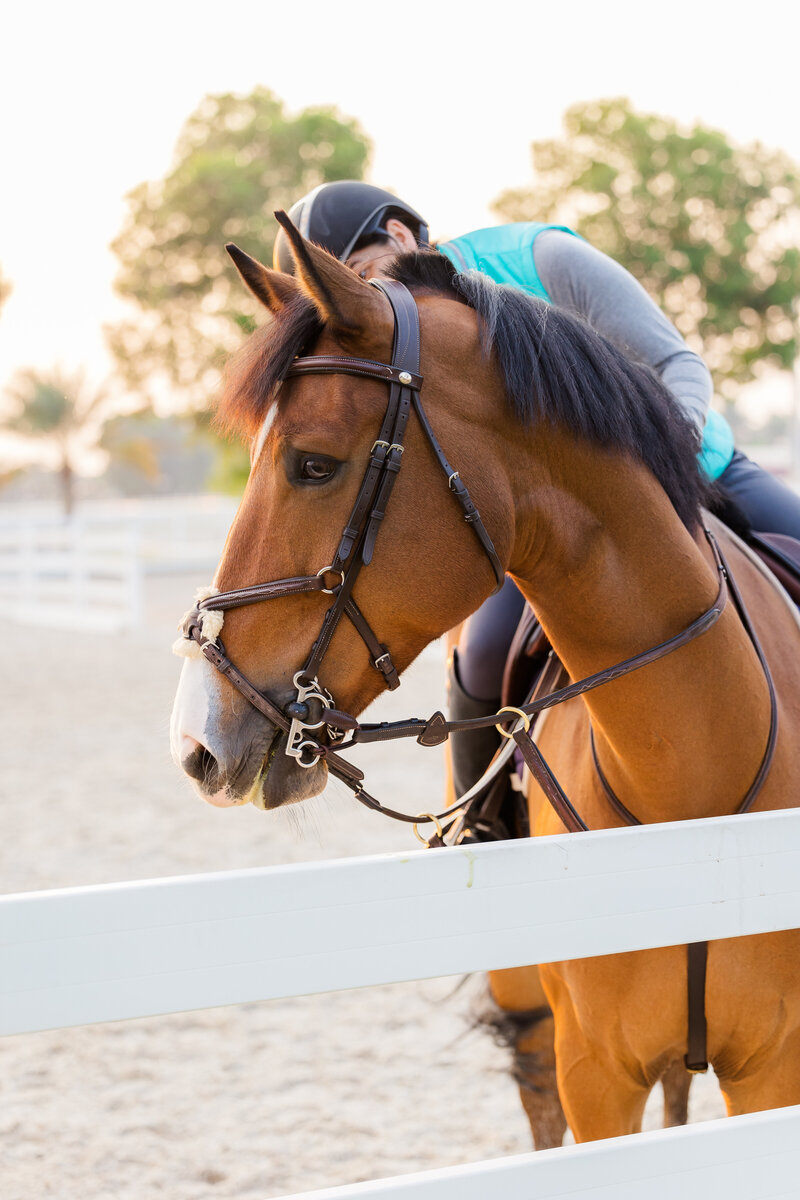 Trainer and horse photographed for equestrian marketing campaign.