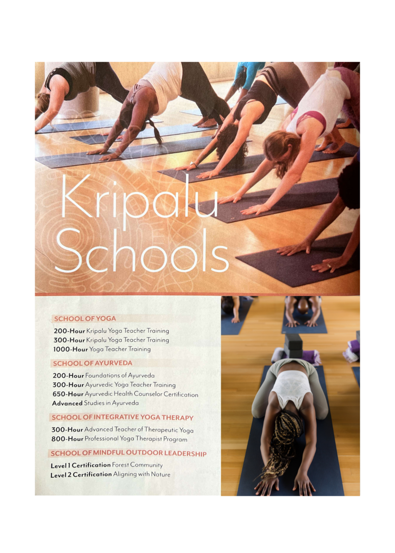 magazine featuring photos by tricia mccormack