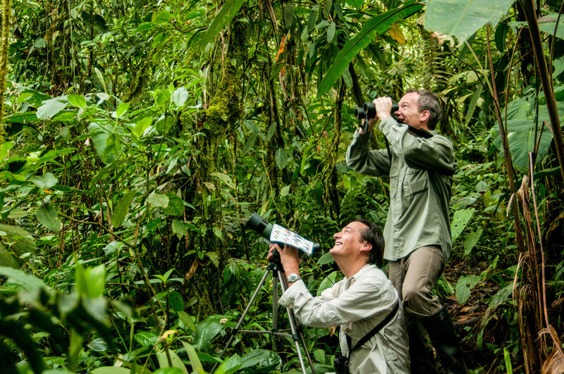Two friends go bird watching deep in the Ecuador jungle