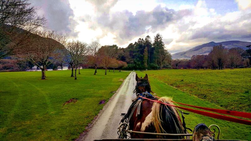 Killarney National Park