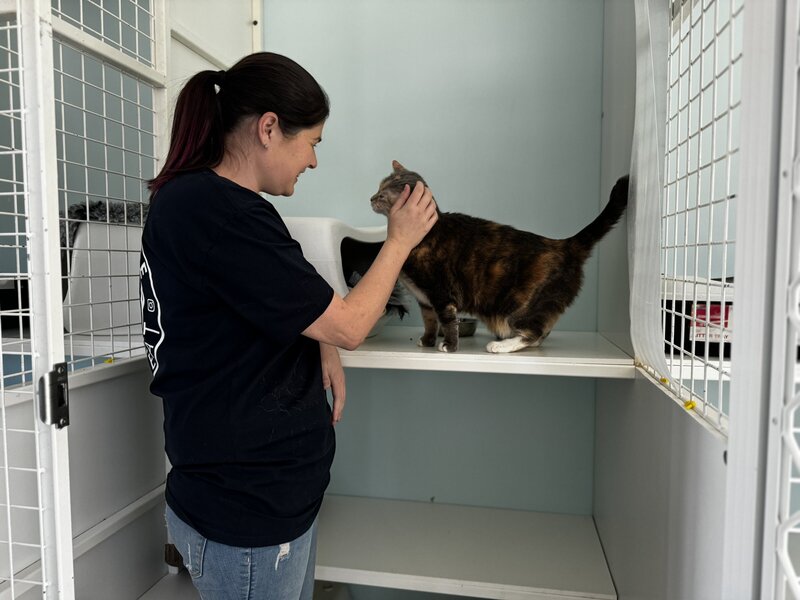 Cattery Toowoomba