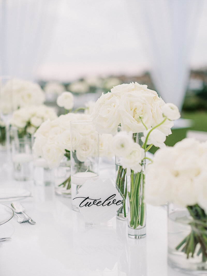 ericastreelman_jenesa and avi-407