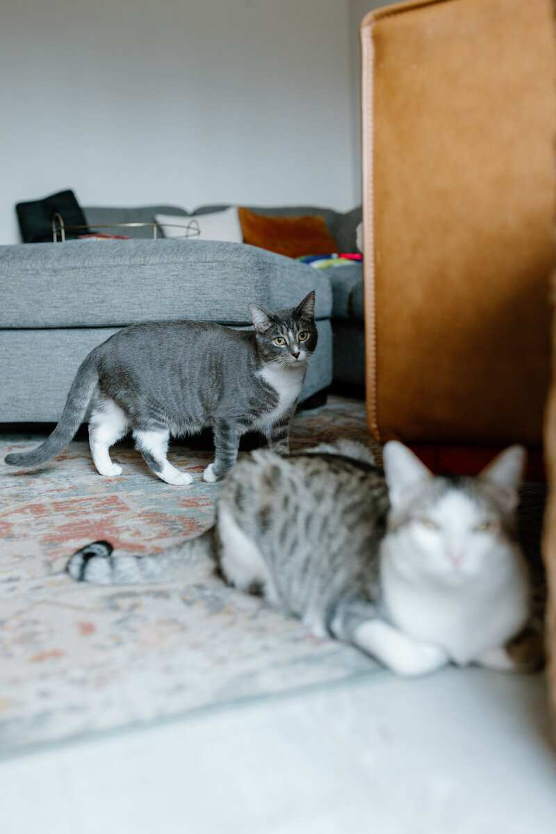 luckylady_2025-KAYLAESPARZAPHOTOGRAPHY-7