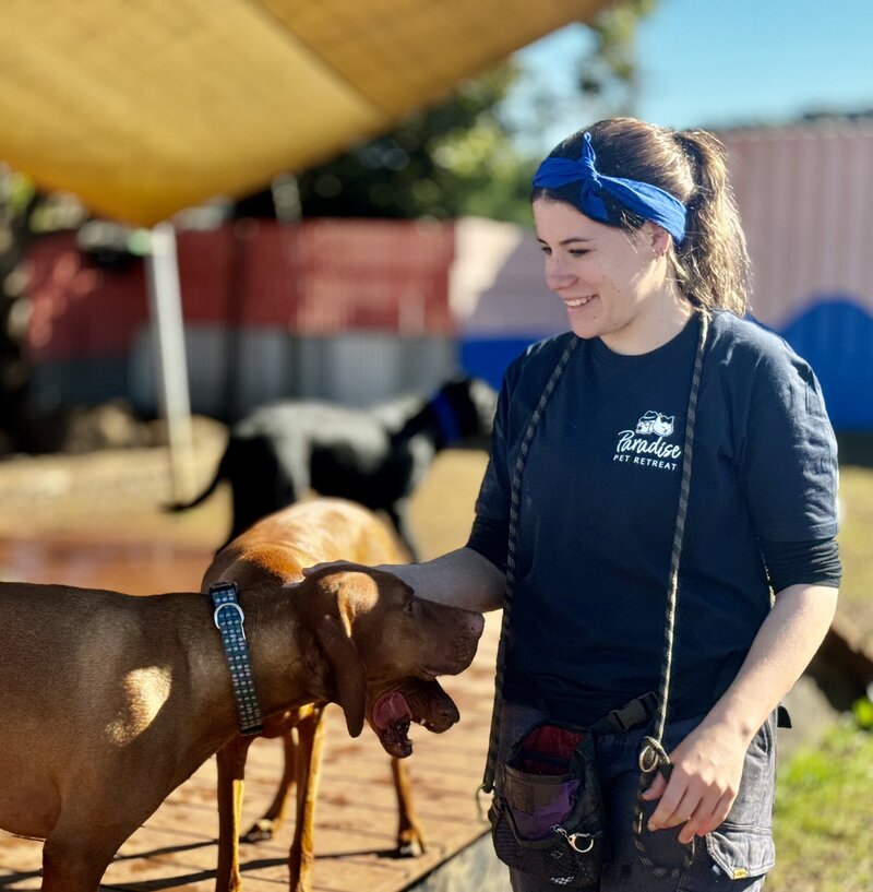 Paradise Pet Retreat Doggy Daycare
