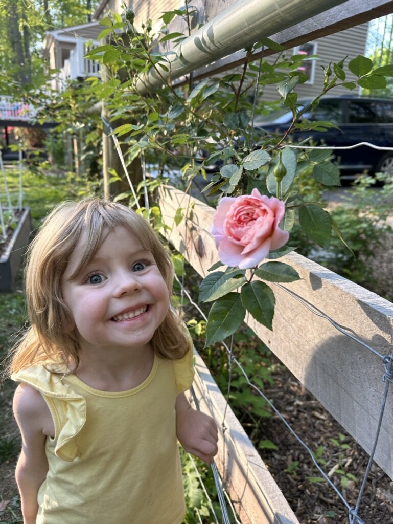 5E2C2586-7F56-4305-B262-D26BA48CA40C_1_105_c