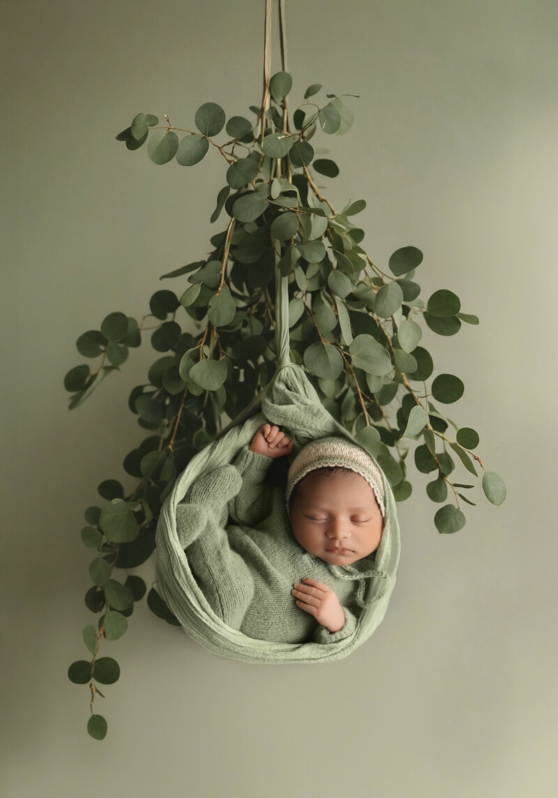 newborn baby hanging from tree of life swing in studio in oakland county michigan