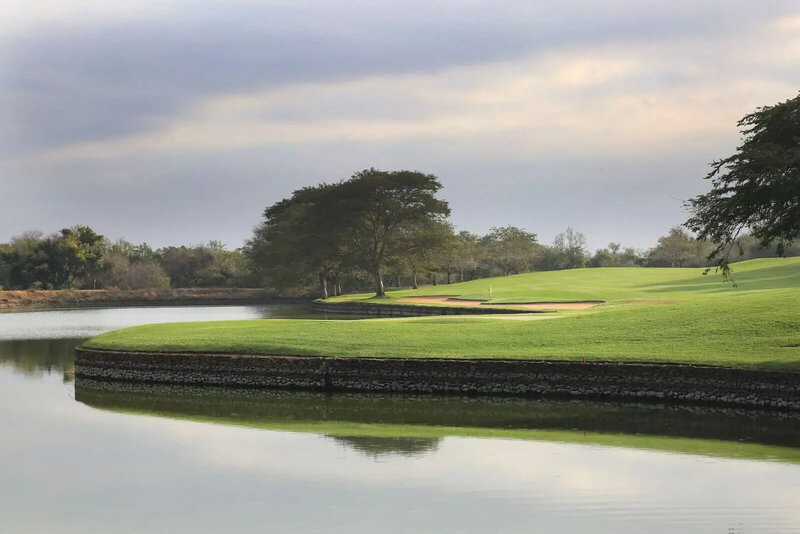 Leopard Creek 8