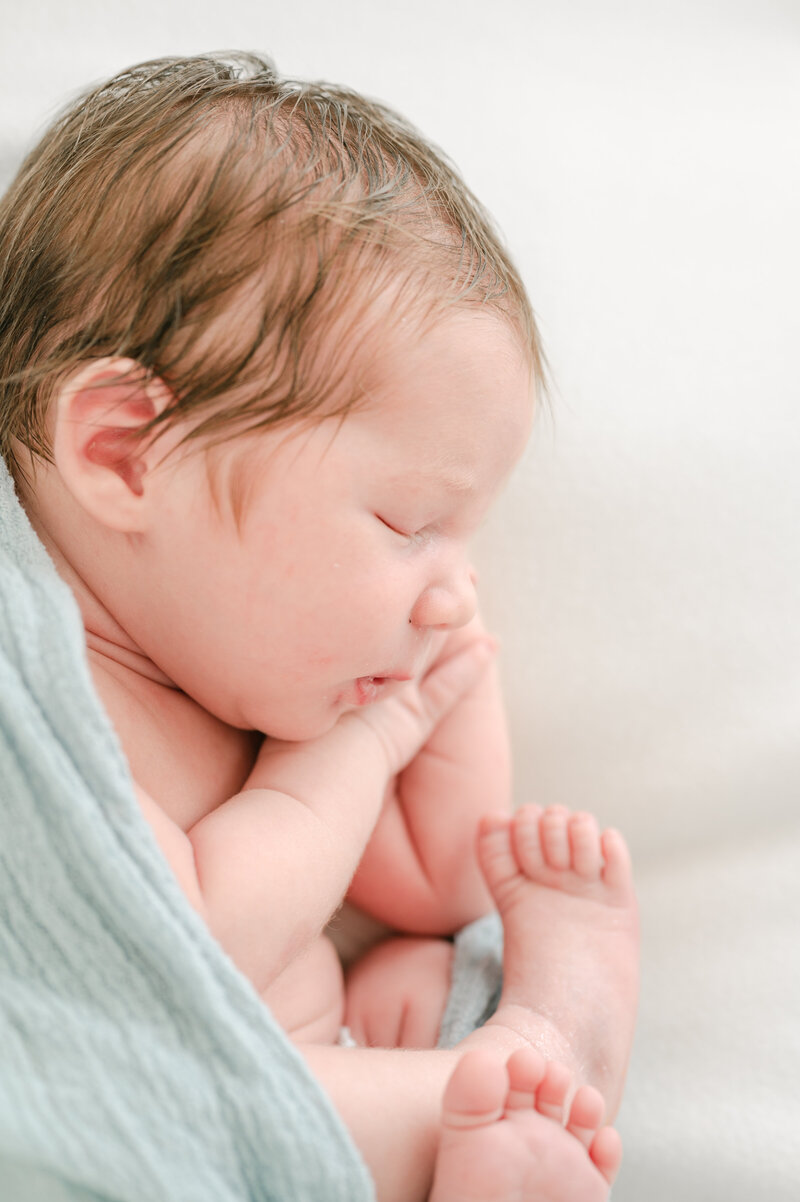 Luxury newborn portrait in Philadelphia PA.