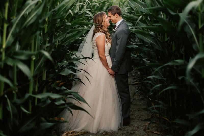 Bride and groom in corn maze at Swans Trail Farms