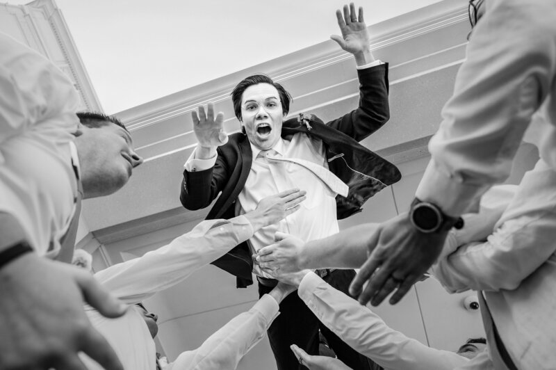 Groom is thrown in the air while facing the camera, by his groomsmen.