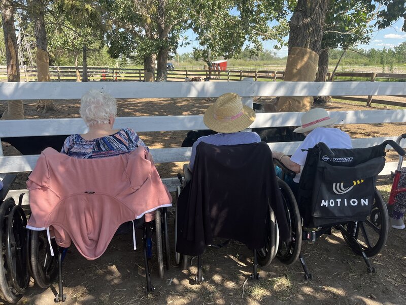Senior citizens taking a rest with a scenic view in front of them at Spirit's Respite Ranch.