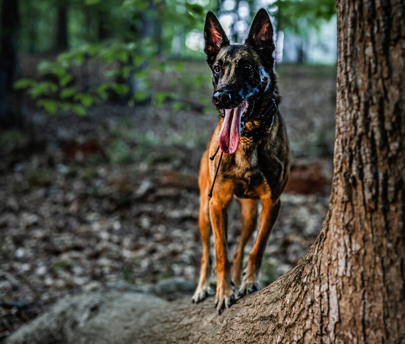 0T7A8926-Edit
