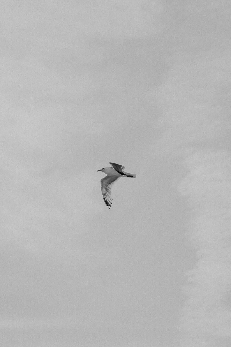 Trouwfotograaf op het strand.