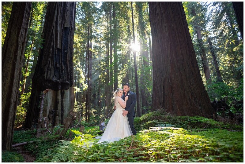 Magical and romantic wedding Portrait of a bride and groom at sunset in Humboldt County, California, by Parky's Pics Photography