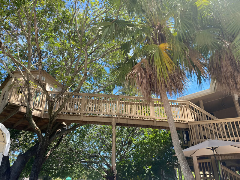 Patio 6 (2)